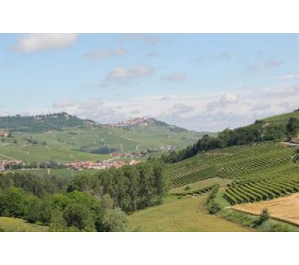 Piedmont: one region, thousands of expressions Part I