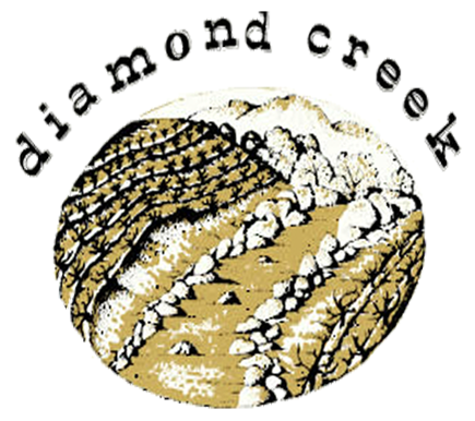 Diamond Creek: A story of success amid the anguish of 2017