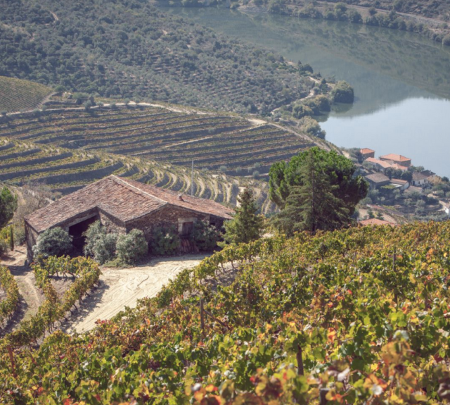 Image from Douro