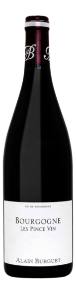 Bottle shot of 2021 Bourgogne Les Pince Vin