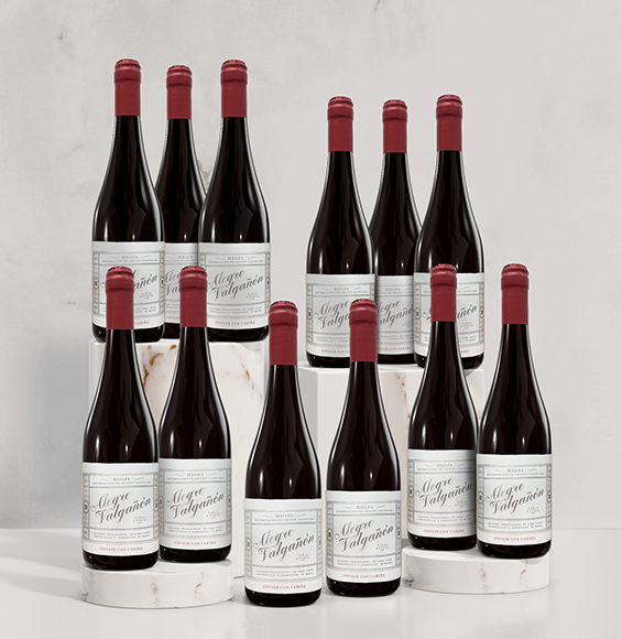 Bottle shot of 2020 Bodega Alegre Valgañon Rioja Tinto