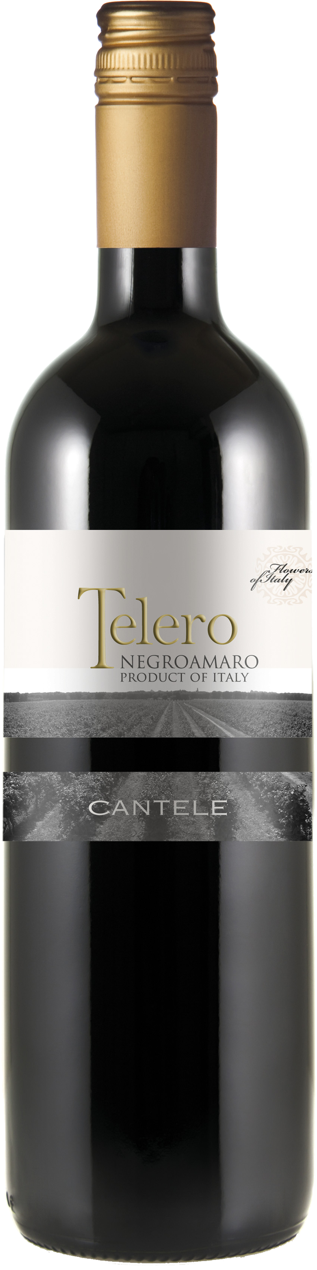Bottle shot of 2010 Telero Rosso (Negroamaro)