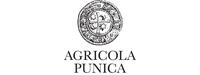 Agricola Punica logo web homepage.jpg