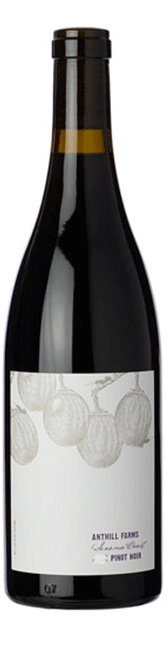 Bottle shot of 2013 Pinot Noir