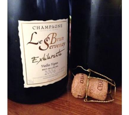 Champagne Roots: Discoveries from a recent trip