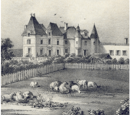 Image of producer Château Haut Brion