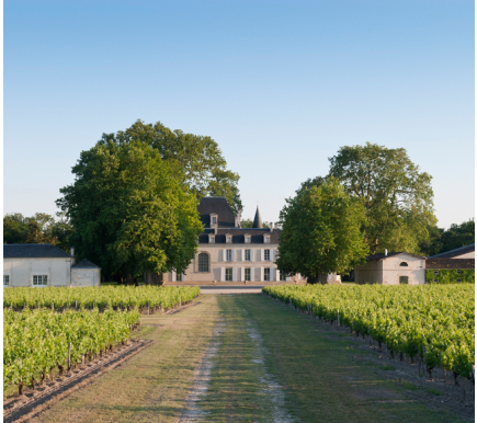 Image of producer Château Cantemerle