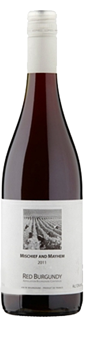 Bottle shot of 2006 Bourgogne Pinot Noir