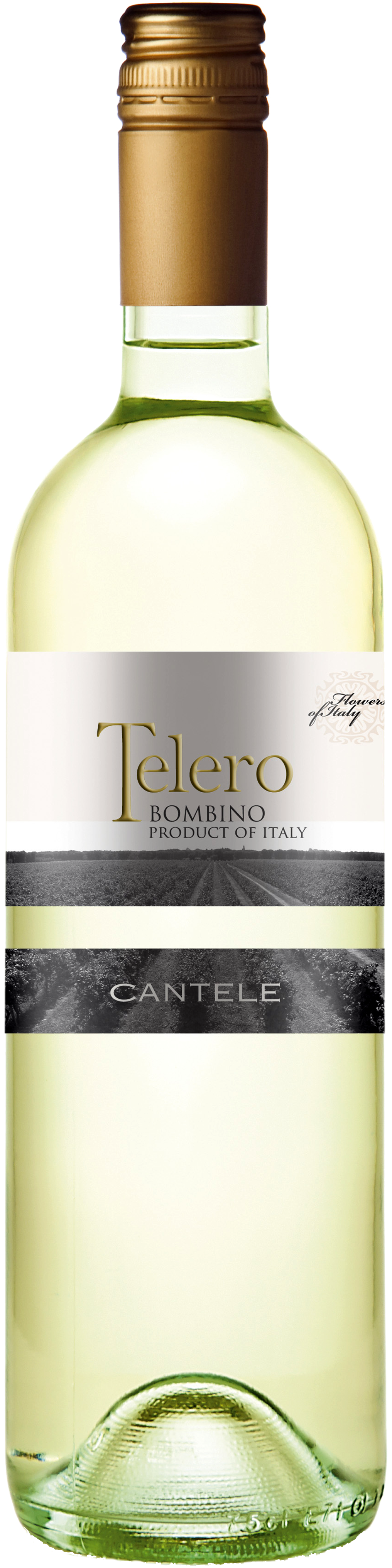 Bottle shot of 2015 Telero Bianco (Bombino)