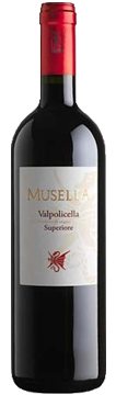 Bottle shot of 2015 Valpolicella Superiore