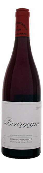 Bottle shot of 2013 Bourgogne Rouge