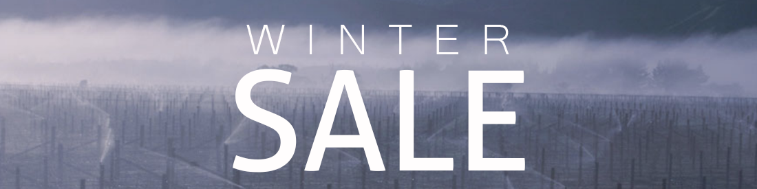 Winter sale article banner.png