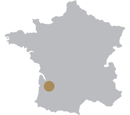 Bordeaux Wine Region image