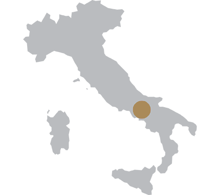 Campania image