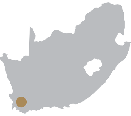 Stellenbosch image