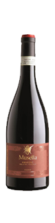 Bottle shot of 2015 Amarone Riserva