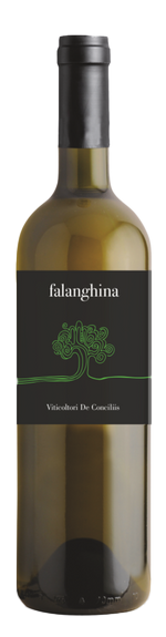 Bottle shot of 2021 Falanghina