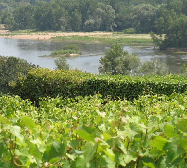 Image from Loire