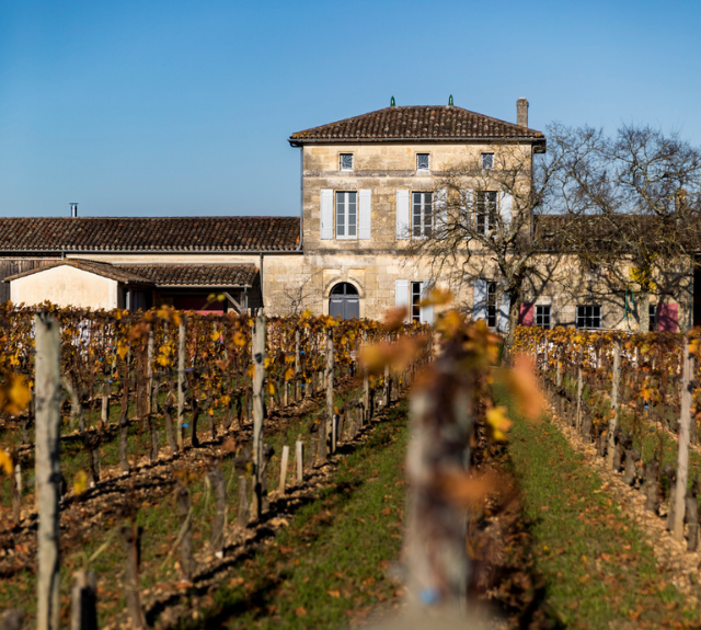 Image from Bordeaux Wine Region
