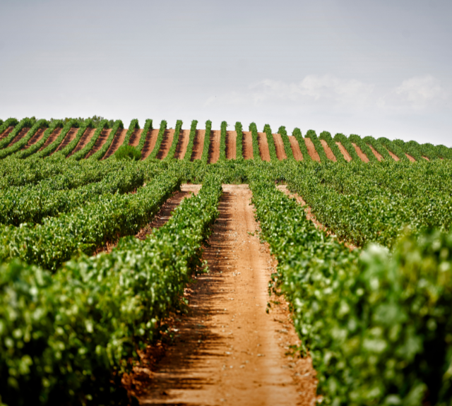 Image from Rioja Wine Region