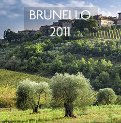 Italian Portfolio - Brunello 2011 (1)