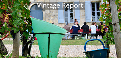Bordeaux 2015 - Vintage Report