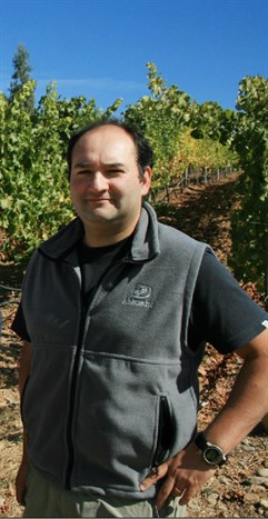 Julio Bastias In The Matetic Vineyard